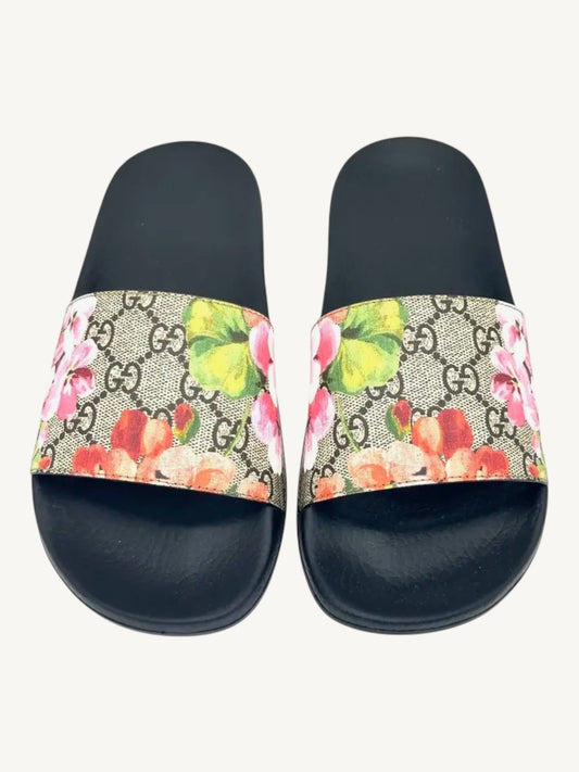 Gucci GG Blooms Pursuit Slide Sandals — Size 36 — New in Box