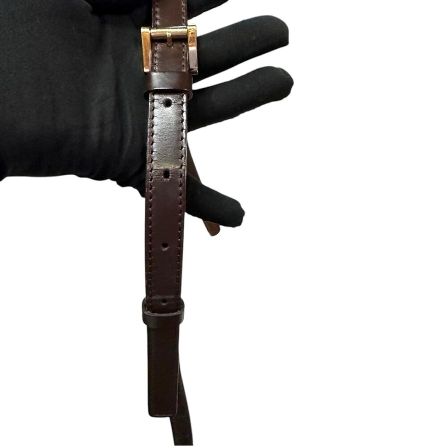 Louis Vuitton Damier Ebene Musette Salsa Crossbody Bag