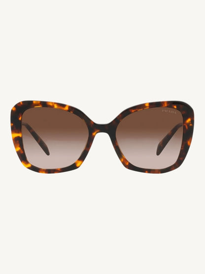 Prada SPR 03Y Tortoise Butterfly Sunglasses — Gold Temple — New Full Set