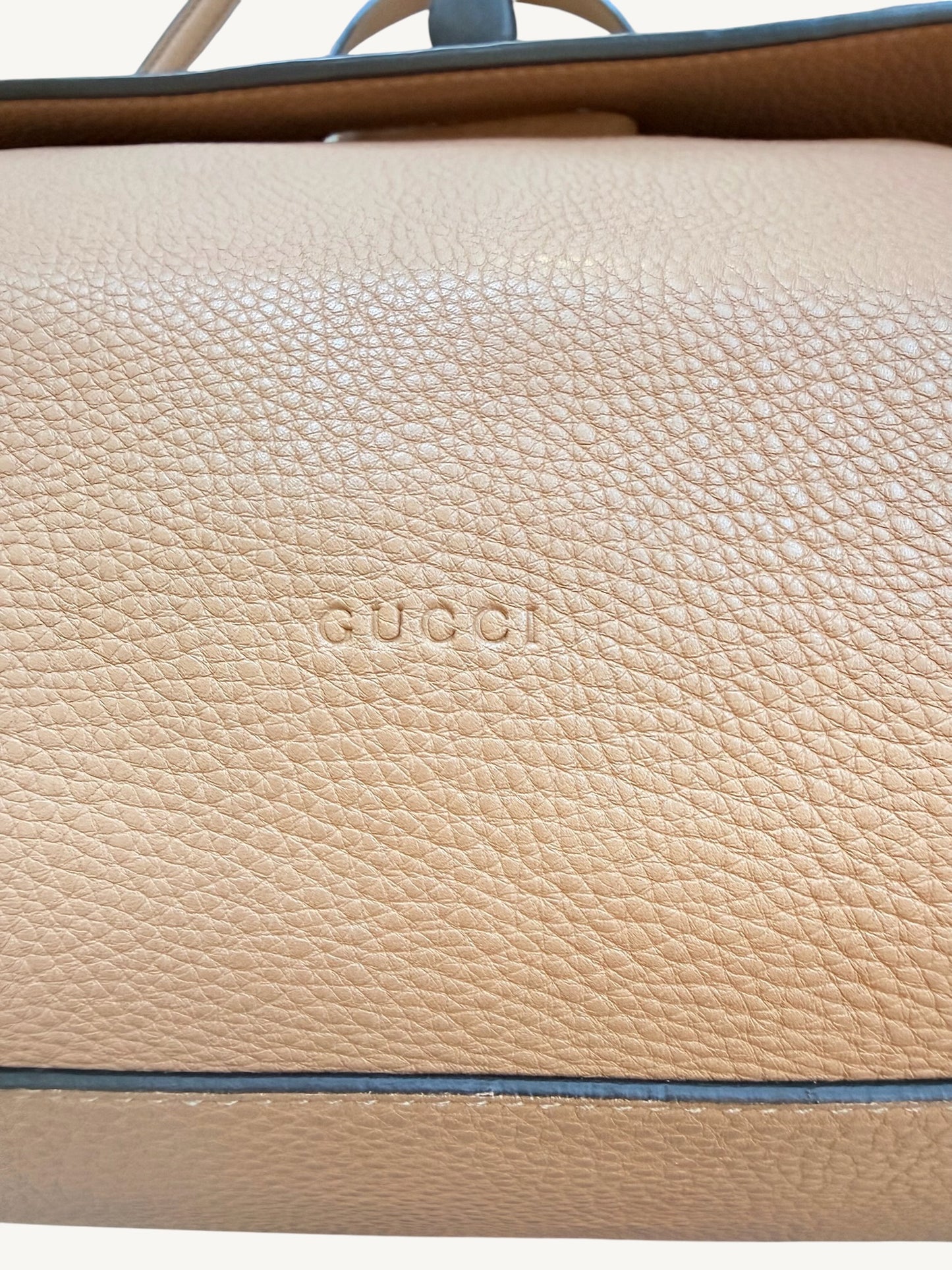 Gucci Large Bamboo Daily 2Way Top Handle Crossbody Bag — Camel Grained Calfskin | Frida Giannini Era Style 370830