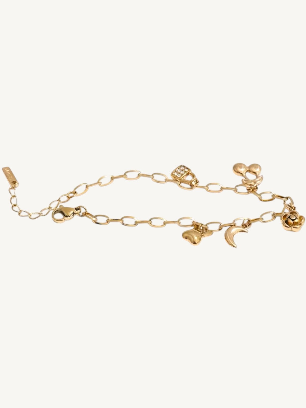 A delicate gold chain anklet featuring multiple small charms, including a crescent moon, a rose, a heart, and a small animal figure, displayed on a clean off-white background.