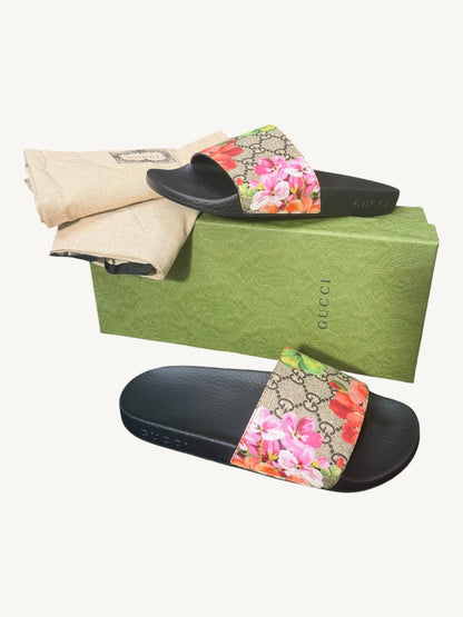 Gucci GG Blooms Pursuit Slide Sandals — Size 36 — New in Box